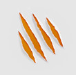 claws scratches on paper background