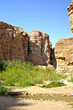 Oasis Tamerza - Tunisia, Africa