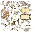 Set of calligraphic design elements and page decorations