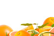 Fruits citrus