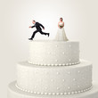 escape from wedding