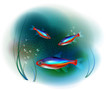 neon fish in the sea