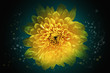 Abstract flower background