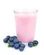 Fresh blueberries fruits