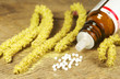 Pollenallergie - Globuli