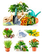 set spring flower with garden tool isolated on white background