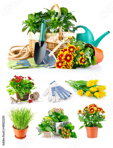 Photo: set spring flower with garden tool isolated on white background set spring flower with garden tool isolated on white background