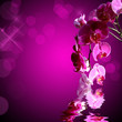 Orchidée rose, fond carré bokeh