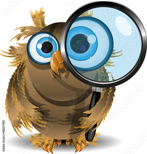 Vector: curious owl curious owl