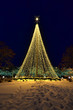 Photo: Christmas Lights and Tree Christmas Lights and Tree