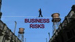 Business Risks