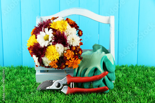 Photo: Secateurs with flowers in box on fence background Secateurs with flowers in box on fence background