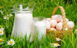 Jug and glass of milk with eggs, grass and daisies