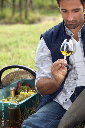 Photo: Vintner with glass in the field Vintner with glass in the field