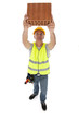 Construction worker wearing hard hat and vest