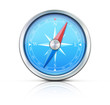 Illustration: Blue compass Blue compass