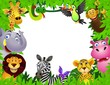 Safari animal cartoon