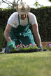 Gardener working in garden
