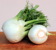 finocchi