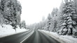 Video: Winter road through the forest - timelapse Winter road through the forest - timelapse