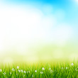 Spring Background