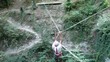 Senior man navigating a rope suspension bridge