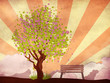Sakura and bench on grunge background