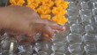Thai sweet meat 6
