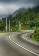 road to the mountains. Fog above forest