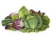 Photo: Assortment of fresh cabbages Assortment of fresh cabbages