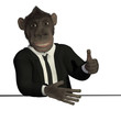 Mr.Monkey - thumb up
