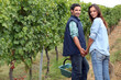 Couple picking grapes