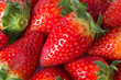 Erdbeeren