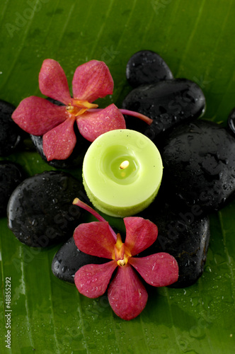 Photo: green candle and red orchid flower and stones green candle and red orchid flower and stones