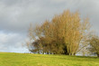 Rural landscape in winter