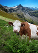 Photo: Idyll Idyll