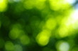 Photo: green bokeh green bokeh