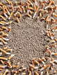 Cigarettes frame