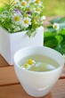 herbal tea
