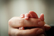 Foto: Baby and mother holding hands Baby and mother holding hands