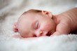 Foto: Newborn baby boy Newborn baby boy
