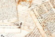manuscripts