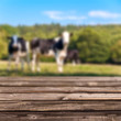 Plancher rustique, fond campagne et vaches
