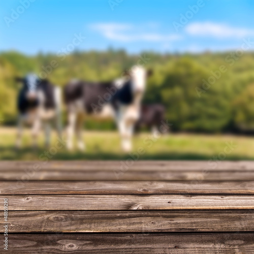 Photo: Plancher rustique, fond campagne et vaches Plancher rustique, fond campagne et vaches