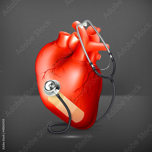 Vector: Heart and stethoscope Heart and stethoscope