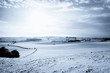 snow over fields