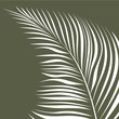 palm leaf.eps