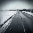 gloomy winter road