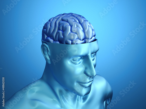 Illustration: Head with brain Head with brain