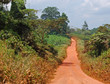 Terre d'Afrique, Côte d'Ivoire